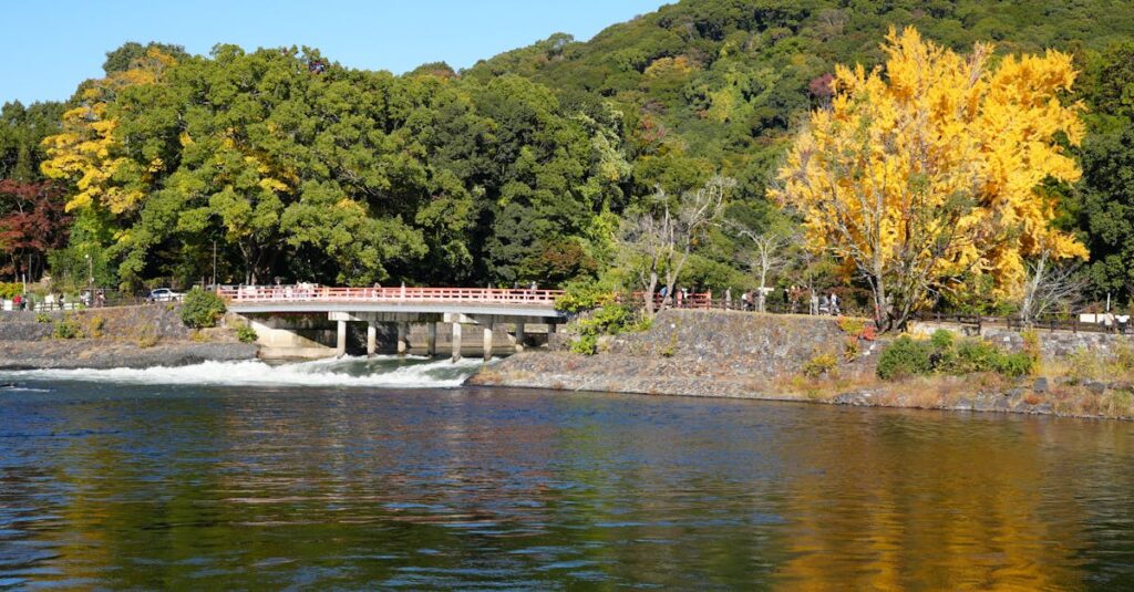 guide de randonnée 2025 : découvrez les meilleures destinations, conseils pratiques et itinéraires pour une aventure inoubliable en pleine nature.