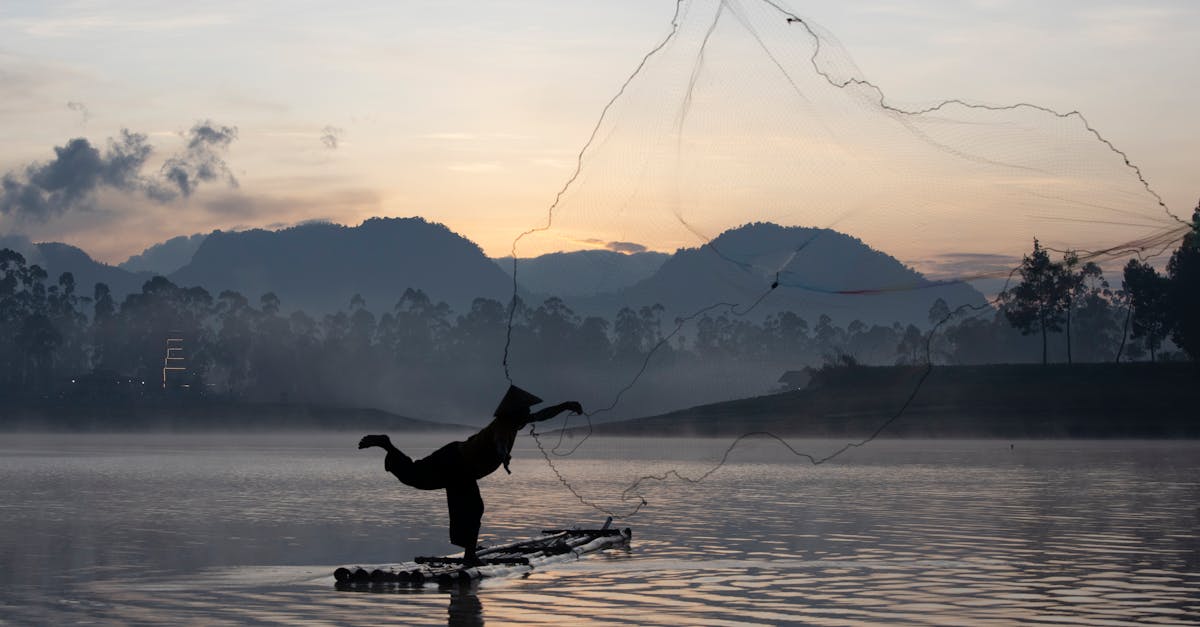 découvrez un mode de vie naturel alliant bien-être, alimentation saine et harmonie avec la nature pour une vie équilibrée et épanouie.