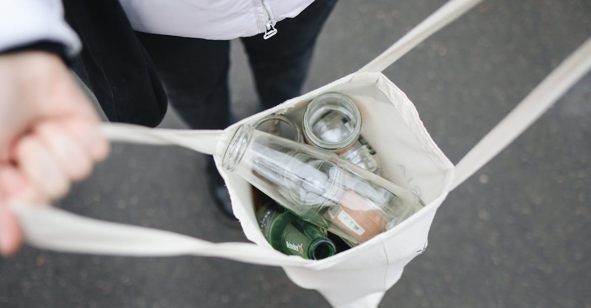 découvrez des solutions efficaces pour réduire votre empreinte carbone et contribuer à la protection de l’environnement grâce à des actions simples et durables.